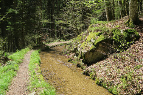 Am Heidenwuhr.