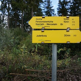 Dem Wanderweg 313 in Richtung Pensionistenhütte folgen