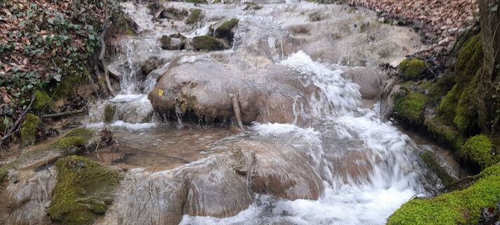 Fotografija s spletne strani Milena Dragoš na poti