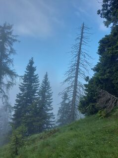 Fotografija s spletne strani Carina Flechl na poti