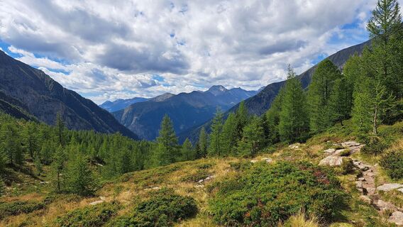 Fotografija s spletne strani Roland Meitz na poti