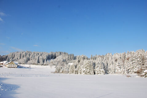 Dachsberg im Schnee