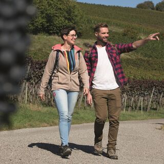 Blauburgunder Panoramaweg