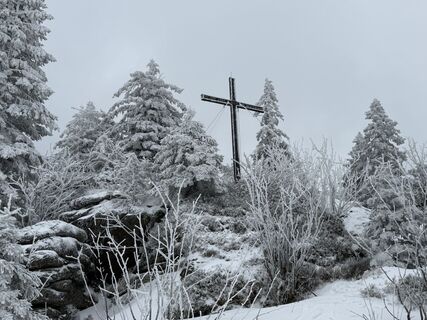 Zdjęcie z Natur_erleben_dg wzdłuż trasy