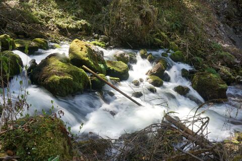 Foto von Bernhard Astner (Benton18) entlang der Tour