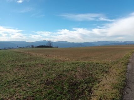 Fotografia z Edero na trase