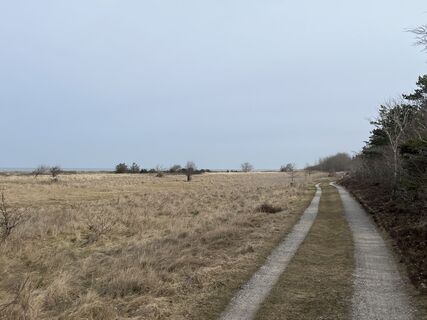 Zdjęcie z SEDannemandJensen wzdłuż trasy