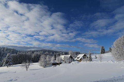 Winterwanderung 3 Herrischried