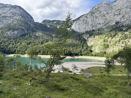 Photo de Alexandra P. 1 le long du parcours