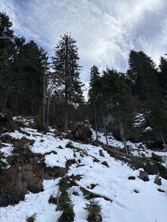 Фото с сайта Heinz Sperl во время экскурсии