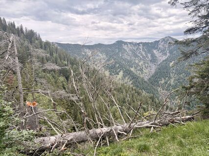 Photo de justasimpleguy le long du parcours