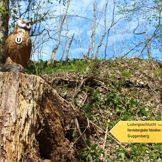 Station Timberlandtrail mit Wanderbeschilderung