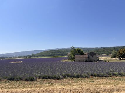 Foto de jml a lo largo del recorrido