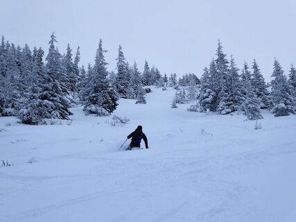 die-abfahrt-durch-den-sautrog
