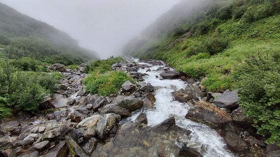 Photo de Ellsi le long du parcours