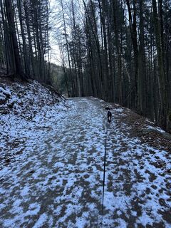 Foto von Car Wanderfreude entlang der Tour
