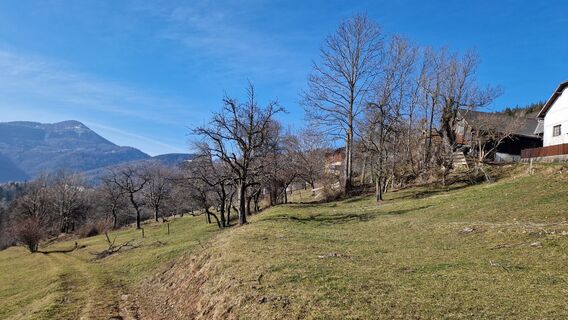 Foto de Ernst Brezina a lo largo del recorrido