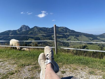 Foto von Voltzi entlang der Tour