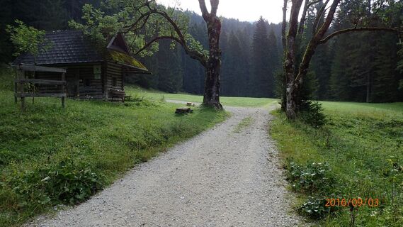 Wiese und Jagdhütte nach dem Hartlsee