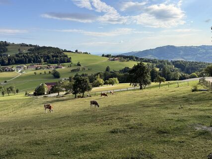 Foto von Natur_erleben_dg entlang der Tour