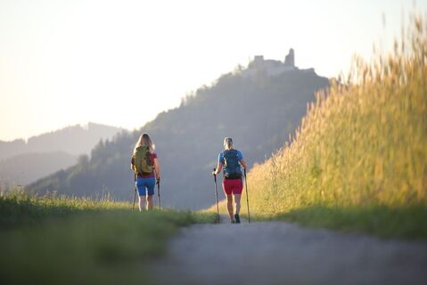 WandererBlickRuineRuttenstein_RobertDiesenreither.JPG