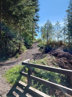 Photo de Wolfgang Wigand le long du parcours