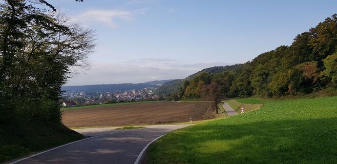 Blick auf Tiengen zurück