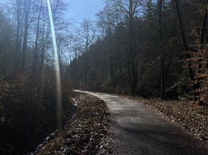 Photo de Gabrielle De Brabanter le long du parcours