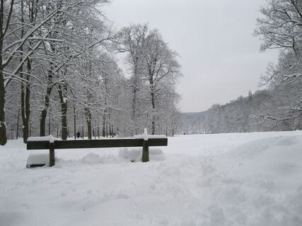 Neuwaldegg - Exelberg