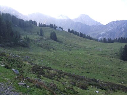Würmlacher Alm