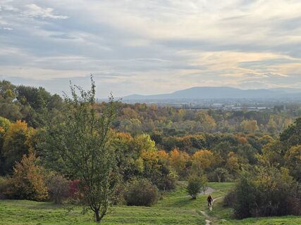 Фото с сайта enipeus 65 во время экскурсии