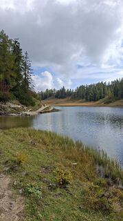 Foto von Fuchs Irene entlang der Tour