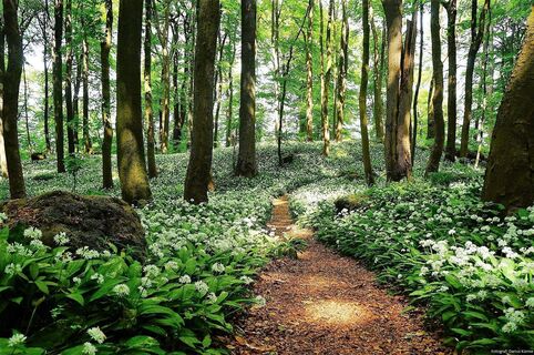 ith-hils-wandern_fr-hling