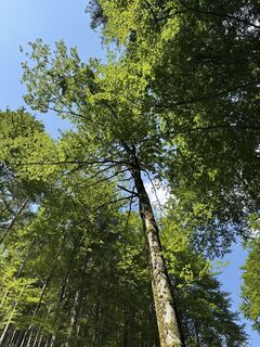 Foto von Thomas Ferk entlang der Tour