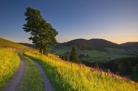Ausklang auf dem Panoramaweg