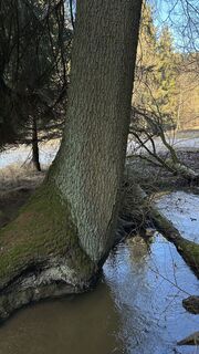 Photo de Matthias G74 le long du parcours