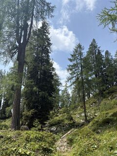 Foto von Kerstin Klinger entlang der Tour
