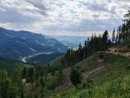 Foto de Žaneta Schelling a lo largo del recorrido