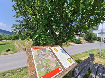 Obstlehrpfad Hollenthon