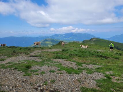 Foto von Dunja Huemer entlang der Tour
