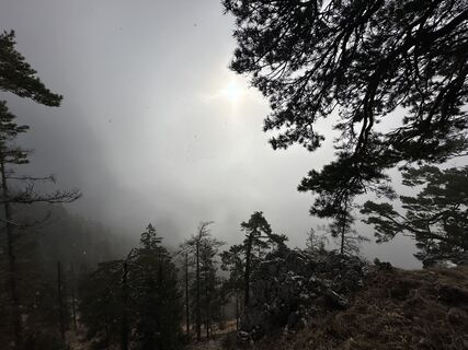 Photo de Dani Geiger / Natur_erleben_dg le long du parcours