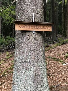 Foto von Flo W 1 entlang der Tour
