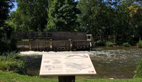 Eclusier Vaux_Aussichtspunkt der Anguilière