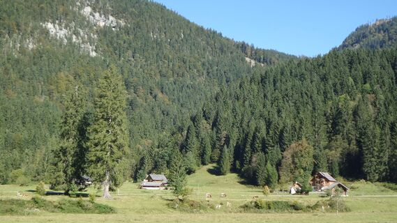 Rettenbachalm mit Jausenstationen