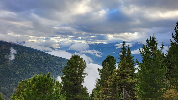 Photo de Ursula Schmid le long du parcours