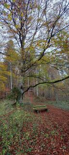 Foto von Hans Klamer entlang der Tour