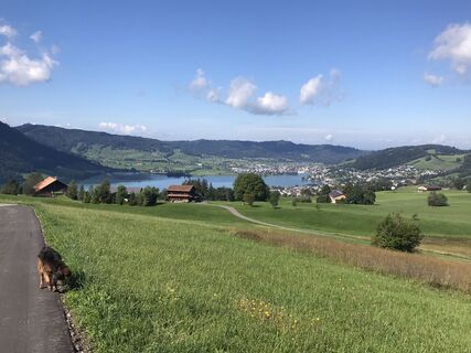 Foto von Barbara Morf entlang der Tour
