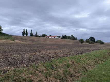 Foto von Schaali entlang der Tour