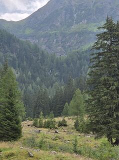 Photo de Rudolf Sackl le long du parcours