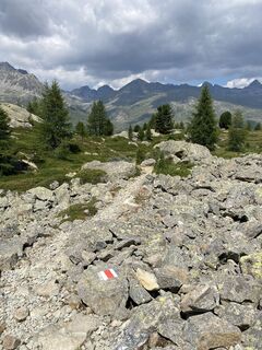 Foto von Annalena Dietrich entlang der Tour